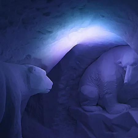Village Igloo La Rosière La Rosiere (Savoie)