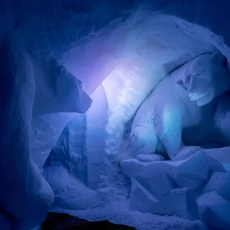 Hotel Village Igloo La Rosière